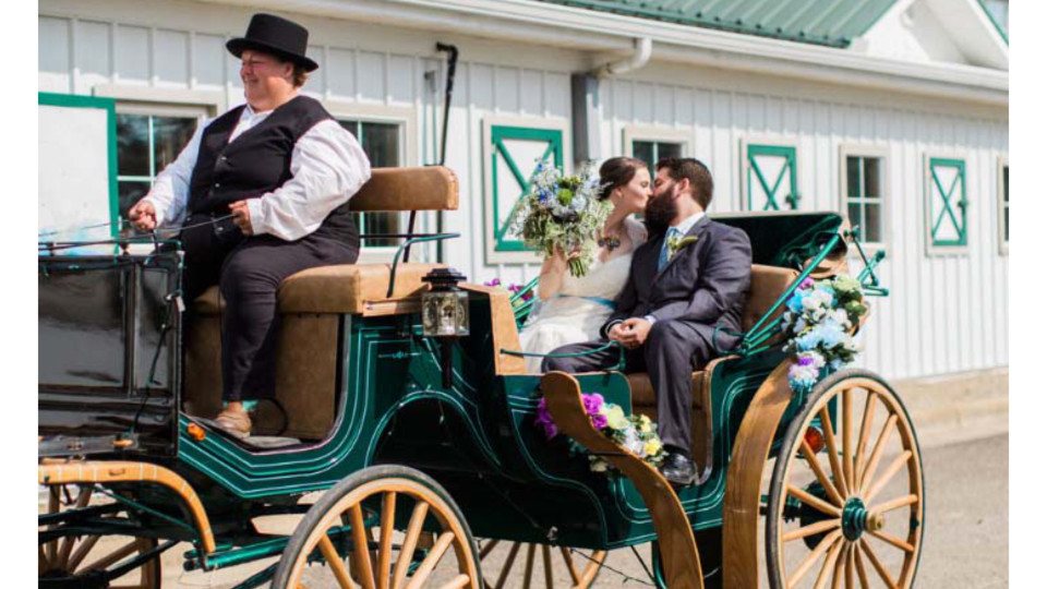 Horse & Carriage Wedding